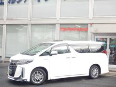 ����ե����ɥϥ��֥�åɣ����ӣҡ��åѥå��������ףġ���ǥꥹ�������� 3