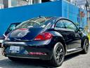 VOLKSWAGEN THE BEETLE