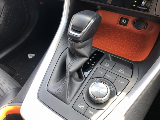 ＲＡＶ４ アドベンチャー　パノラマムーンルーフ　デジタルインナーミラー　セーフティＳ　１０．５インチディスプレイ　ＢＴ・ＵＳＢ　全方位カメラ　電動バックドア　温冷シート　ＬＥＤオートライト　　プリクラッシュ　レーダークルーズ（76枚目）