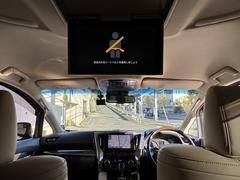 ̵ر֡ףġʥӣԣ֡ʥ˥ξ¦ѥ饤ɥɥѥХåɥܳץȡ;ꡦţԣáɥ쥳̣ţĥ饤ȡޡȥ 6