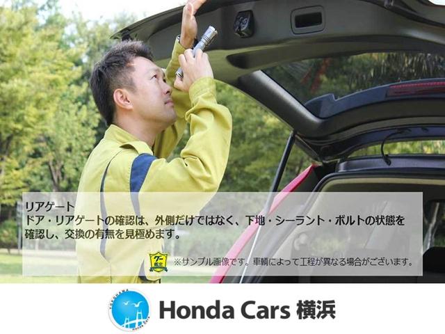 インサイト ＥＸ・ブラックスタイル　ワンオーナー　ＨｏｎｄａＳＥＮＳＩＮＧ　純正前後ドラレコ　ブラインドスポットビュー　フルセグ　メモリーナビ　リヤカメラ　ＵＳＢ・Ｂｌｕｅｔｏｏｔｈ接続　ＤＶＤ再生　ＣＤ録音　オートワイパー　電動シート（46枚目）