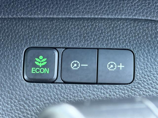 N-BOXカスタム G・Lターボホンダセンシング 7インチ純ナビ・Bluetooth・ドラレコ・LED・オートハイビーム・パドルシフト・AW 両側PWスライドドア Bモニタ Iストップ セキュリティー 点検記録簿 USB接続 クルーズコントロール(10枚目)