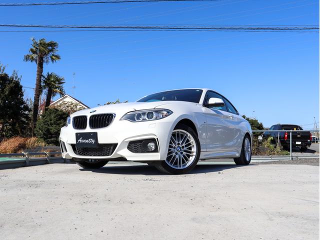 2シリーズ 220iクーペ Mスポーツ 赤本革 ドライビングアシスト HDDナビ Bカメラ コーナーセンサー キセノンヘッドライト スマートキー クルーズコントロール ミラーETC プッシュエンジンスタート シートヒーター MスポーツAW(63枚目)