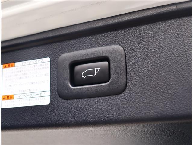 ヴェルファイア ２．５Ｚ　Ａエディション　ゴールデンアイズ　ツインムーンルーフ　プリクラッシュセーフティ　パワーテールゲート　ＥＴＣ　社外２１インチＡＷ　１０インチナビ　フルセグ　バックカメラ　Ｂｌｕｅｔｏｏｔｈ　クルコン　ＬＥＤヘッドライト（19枚目）