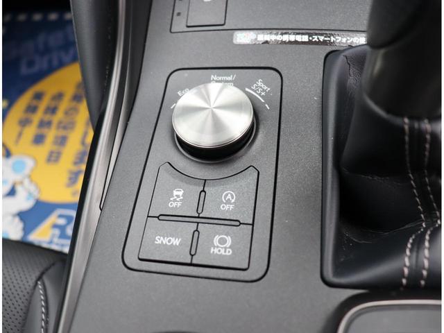 IS300 Fスポーツ 1オーナー TRDフルエアロスポーツマフラー リアスポイラー 黒革シート サンルーフ 3眼LED BSM RCTA 前後ドラレコ TVジャンパー 10.3ディプレイ ナビフルセグBカメラ ETC(25枚目)