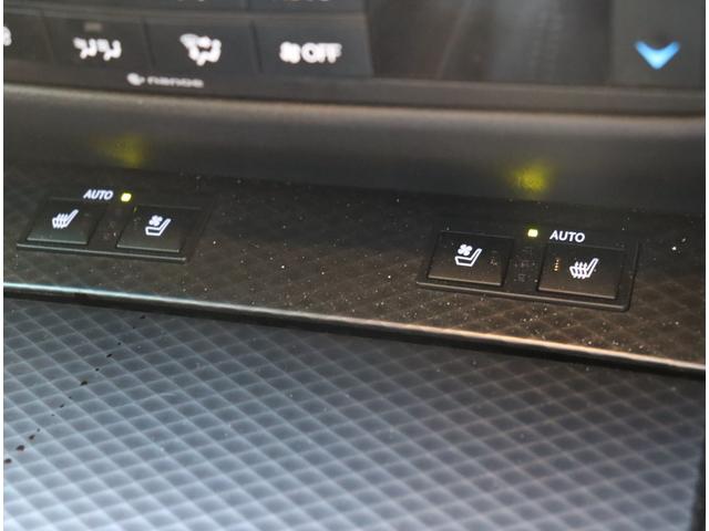 ＧＳ ＧＳ３００ｈ　Ｆスポーツ　純正ナビ　フルセグ　バックカメラ　ＥＴＣ　ＬＥＤ　電動リアゲート　スマートキー　黒革シート　シートヒーター／エアコン　３眼ＬＥＤ　電動リアゲート　クルコン　コーナーセンサー（10枚目）