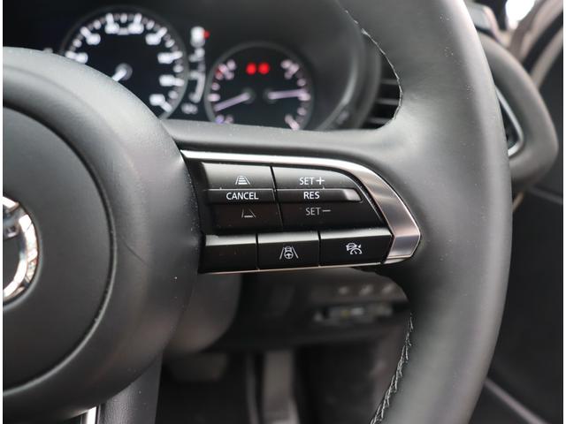 ＣＸ－３０ ２０Ｓ　レトロスポーツエディション　マツダコネクトナビ　フルセグ　全方位カメラ　バックカメラ　ハーフレザー　パワーシート　前後ドライブレコーダー　スマートキー　ＥＴＣ　ワンオーナー　クルコン　衝突軽減ブレーキ　シートヒーター（13枚目）