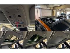 ã 㥤󡡥֥롼ȣģ顡롼աץƥ֥롼ȥ롡ƥ֥եƥ֥졼 0500515A20251112W001 5