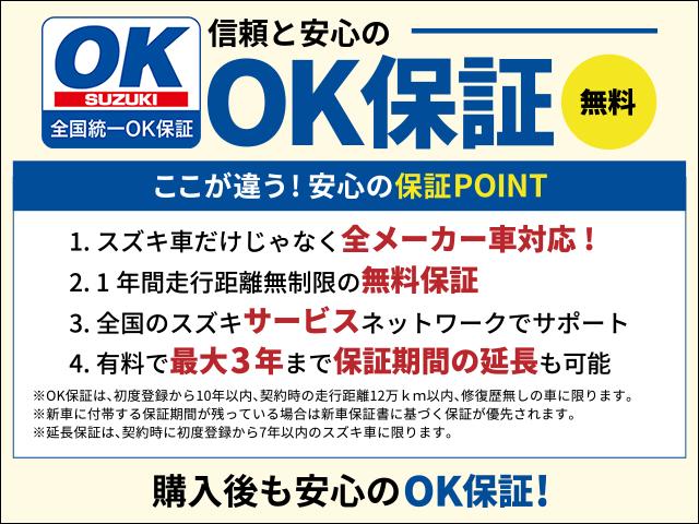 L 2型 レンタカーUP ナビ ETC キーレス 2型 レンタカーUP ナビ ETC キーレス 後退時ブレーキサポート 盗難警報装着車 オートライト シートヒーターフロアマット 助手席背面シートフック タイヤパンク修理キット メンテナンスノート(49枚目)
