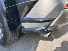 �͵��Υ�ǥꥹ���������ѡ����դ��Ǥ��� 6