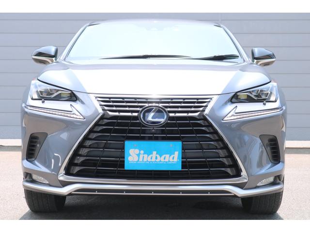 ＮＸ ＮＸ３００ｈ　スパイス＆シック　レクサスセーフティシステム＋　ブラインドスポットモニター　黒専用Ｌｔｅｘシート　シートヒーター　ステアリングヒーター　純正ナビＴＶ　３眼ＬＥＤ　パワーバックドア　純正１８ＡＷ　２年保証（44枚目）