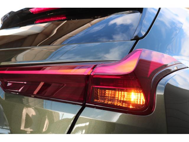 UX UX250h バージョンL 本革シート(ヘーゼル) パノラミックビューモニター ブラインドスポットモニター パーキングサポートブレーキ 3眼LEDヘッドライト アダクティブハイビーム ハンズフリーパワーバックドア ITSコネクト(37枚目)