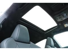 �ڥࡼ��롼�ա���ư�ࡼ��롼�դ���ܡ�����ȥ��åס����饤�ǥ��󥰤�����ǽ�Ǥ��� 5