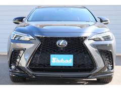 ̵ǯݾաŹƬ󥸥󥪥ǯǯ̵ݥޡƥʥ󥹤ǯǯ֥ӥΦǼ̵Ǽָ⤷äȥݡȡŹȤƽ¤Υեӥ 7