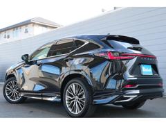 ����ꡦ���꺺��⶯����ּ���鷺�����̤����������������������������Ҥϡ�ŹƬ�ǤΥ��󥸥󥪥���򴹡��ݥ�ޡ����ƥʥ󥹤�ǯ����ǯ�֥����ӥ��� 6