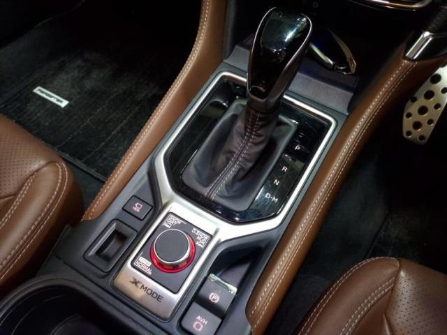 フォレスター アドバンス(17枚目)