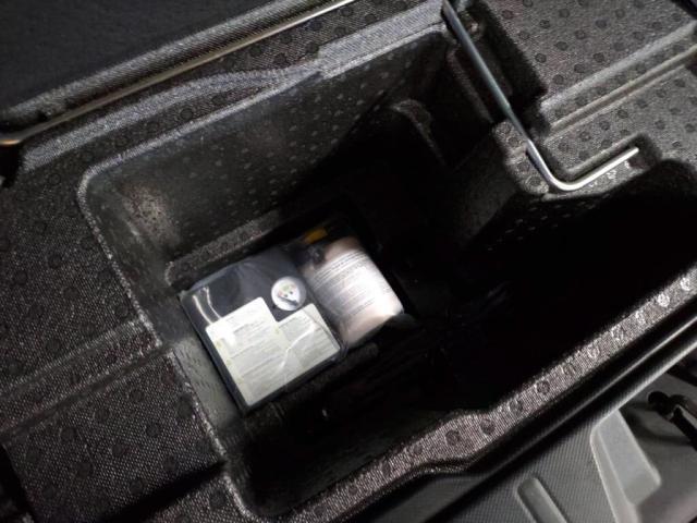 フォレスター アドバンス(29枚目)