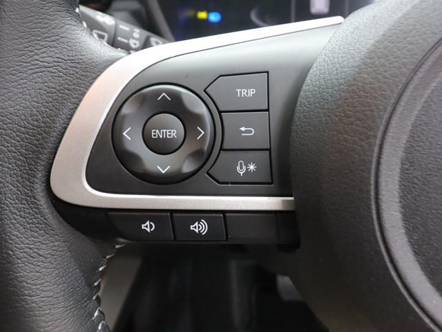 ライズ Z 9インチメモリーナビ 衝突被害軽減システム フルセグ/DVD/Bluetooth対応 前後ドライブレコーダー バックカメラ コーナーセンサー ETC LEDヘッドランプ スマートキー 記録簿(23枚目)