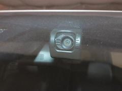 Υ ӣ顡֥Хӡɣɡ;ꡡ󥪡ʡ꡼ʥ 0501008A20251001G006 5