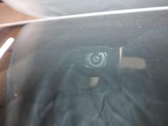 ϥꥢϥ֥å ڡǥꥹ꡼ʥӡѥꥢȡե륻 0501008A20251202G006 5