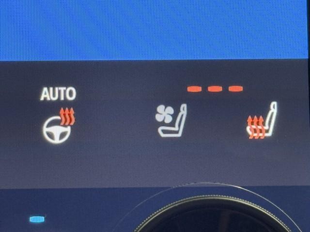 ヴェルファイアハイブリッド エグゼクティブラウンジ　サンルーフ　革シート　両側パワースライドドア　アルミホイール　オートクルーズコントロール　ＤＶＤ再生　スマートキー　ドラレコ　記録簿　３列シート　キーレスエントリー　ＥＴＣ　メモリーナビ　エアバッグ（13枚目）