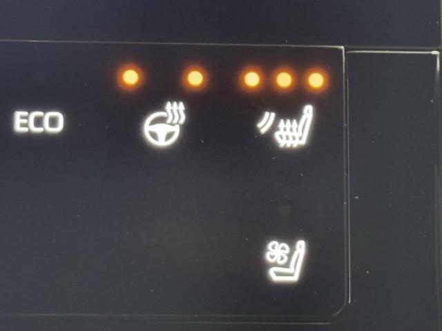 bZ4X Z ムーンルーフ LEDライト ミュージックプレイヤー接続可 TSS フルセグTV パワーシート スマートキー AWD Bカメラ ETC イモビライザー ドラレコ メモリーナビ 記録簿 AC100V電源(13枚目)