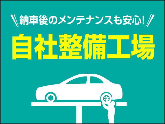 Si“W×BII” 純正9インチナビTV DVD再生 ブルーテュース 両側自動ドア 7人乗り(3枚目)