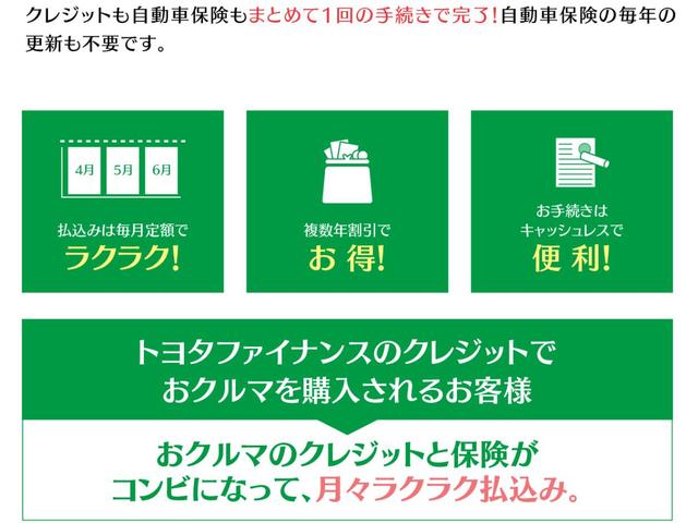 Ｆ　ワンオーナ　横滑り防止システム　アイドリングストップ車　Ｗエアバッグ　運転席エアバック　ナビＴＶ　エアコン　ＥＴＣ車載器　キーレスキー　整備記録簿　パワステ　パワーウィンドウ　ＡＢＳ　１セグＴＶ(27枚目)