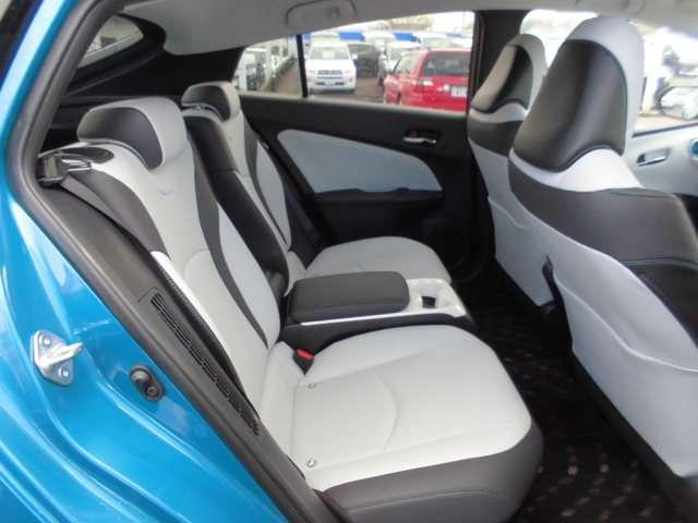 A プレミアム 当社試乗車 SDナビ バックモニター(18枚目)