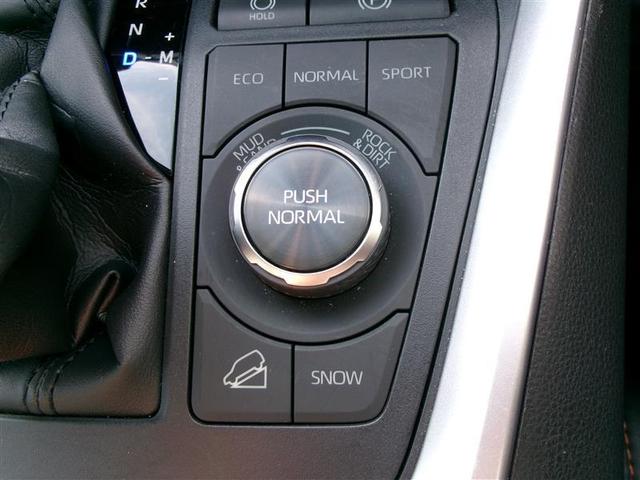 ＲＡＶ４ アドベンチャー　リヤカメラ　アルミ　クルーズＣ　ナビテレビ　ＬＥＤライト　イモビ　地デジ　ＥＳＣ　スマキー　ＰＳ　ＥＴＣ付き　エアコン　４ＷＤ車　パワーウインドウ　サイドエアバッグ　ＡＢＳ　キーレス　ＤＶＤ再生（33枚目）