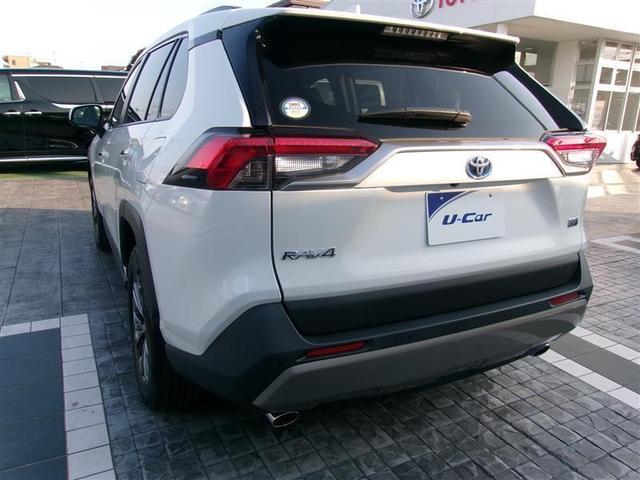 ＲＡＶ４ ハイブリッドＧ　衝突回避ブレーキ　ＴＶナビ　１００Ｖ電源　ＬＥＤヘットライト　地デジチューナー　点検記録簿　メディアプレイヤー接続　パワーシート　ＡＡＣ　カーテンエアバック　横滑り防止装置　ＡＷ　エアバッグ　４ＷＤ（10枚目）