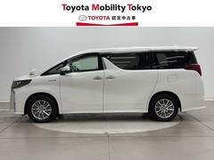 ͷӤˤ̶ФˤʤΤ㤤ʪˤԥåꡣΥɥ饤֤˵￴ϤΤ褤쥤ȤǤ 3