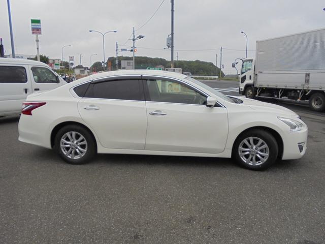 ティアナ ＸＬ（4枚目）