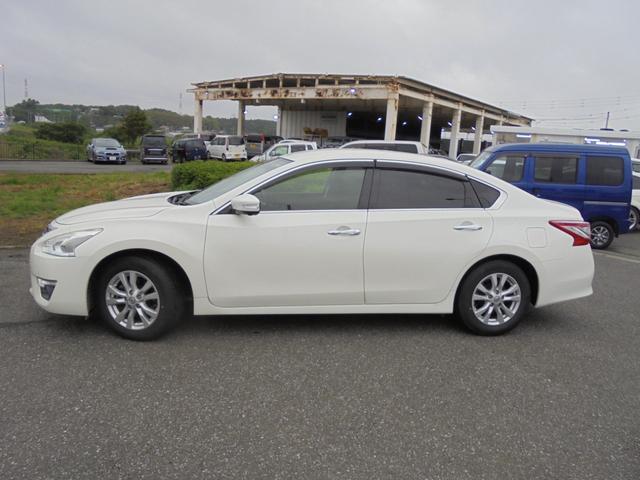 ティアナ ＸＬ（5枚目）