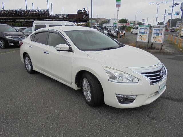 ティアナ ＸＬ（6枚目）