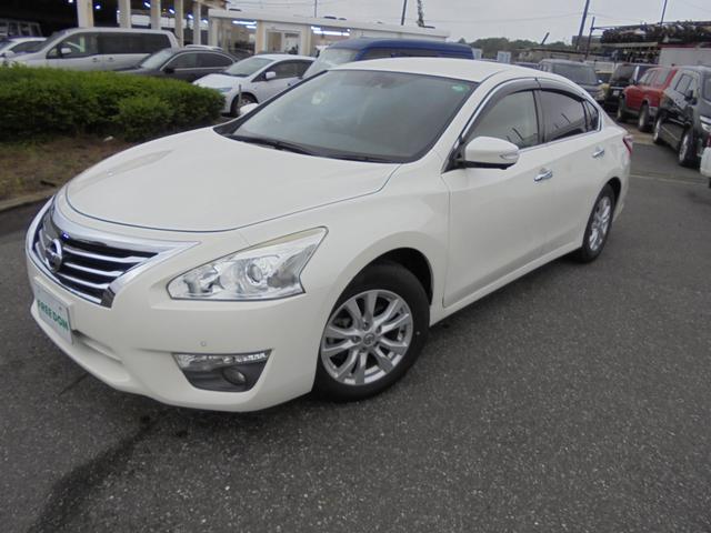 ティアナ ＸＬ（7枚目）