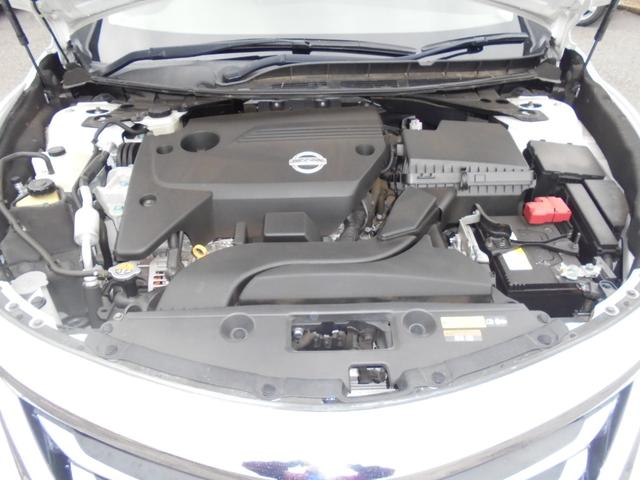 ティアナ ＸＬ（23枚目）