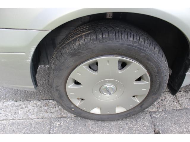 サニー （13枚目）