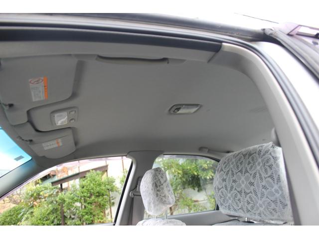 サニー （30枚目）