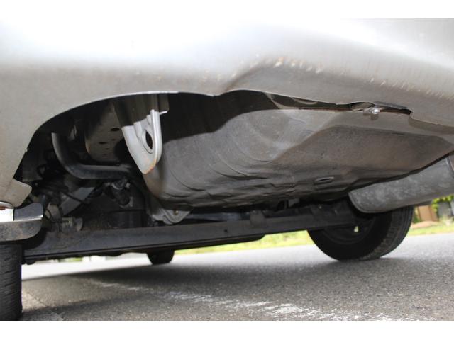 サニー （39枚目）