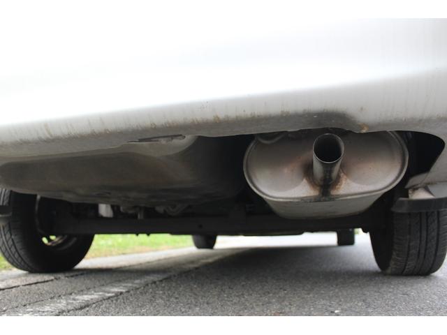 サニー （40枚目）