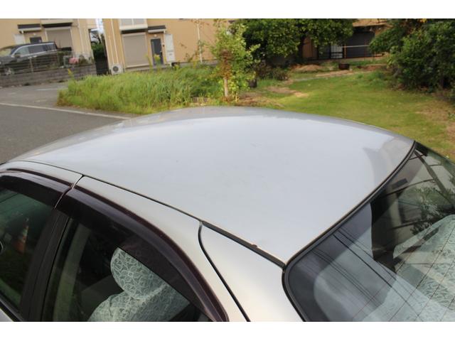 サニー （41枚目）