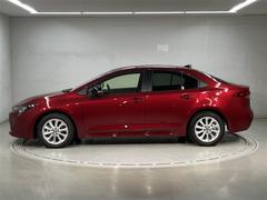 �������� �ϥ��֥�åɡ��ǡ��ԣӣӡ��̣ţĥإåɥ饤�ȡ��ե륻�� 0501266A20251226T002 2