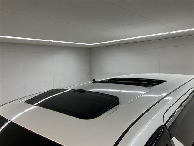 ヴェルファイア ＶＬサイドリフトＵＰ（19枚目）