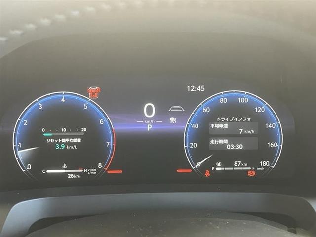 アルファード Xサイドリフトアップ(29枚目)