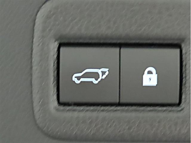 ＮＸ ＮＸ３００ｈ　バージョンＬ（33枚目）