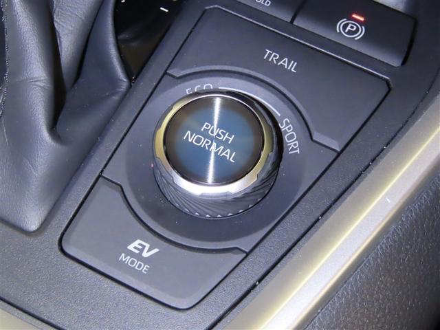 RAV4 ハイブリッドアドベンチャー オフロードパッケージII(21枚目)