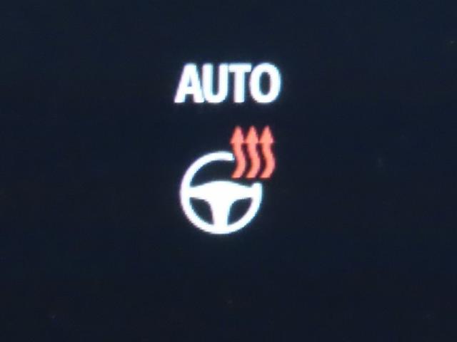 ヴェルファイアハイブリッド Ｚ　プレミア（23枚目）