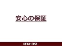 ＲＳ　パノラミックビューモニター　ブラインドスポットモニター　ドライブレコーダー　衝突被害軽減ブレーキ　レーダークルーズコントロール　車線逸脱警報　純正アルミホイール　ＥＴＣ　ＬＥＤヘッドライト（48枚目）