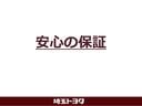 Ｇ・Ｌ　メモリーナビ　バックモニター　ＥＴＣ　ＬＥＤヘッドライト　左側電動スライドドア　ＵＳＢ入力端子（48枚目）